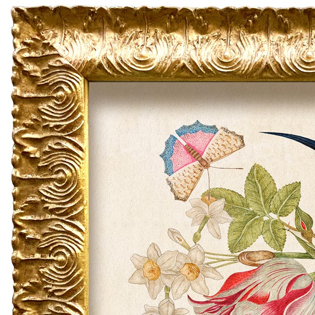 Various Artists Reproduction Vintage Birds and Butterflies Art Print (Bird#4), Framed For Sale - Image 4 of 5