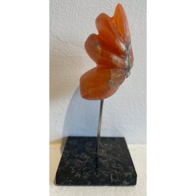 Natural interiors contemporary sculpture.