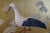 Antique French Stork Weathervane, Early 1900s For Sale - Image 3 of 9