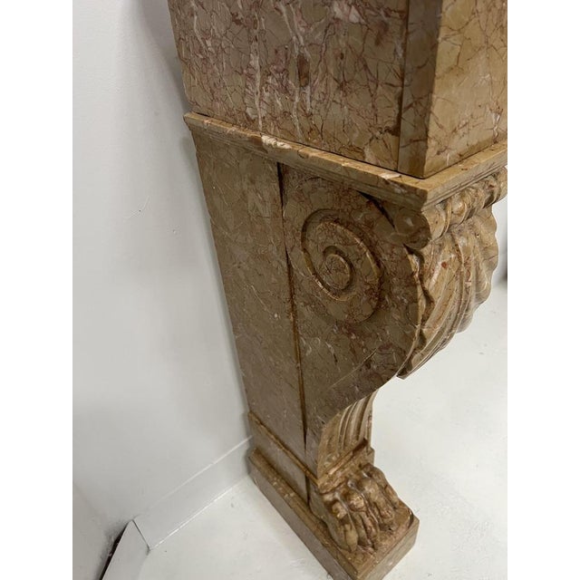 Napoleon III Fireplace with Claw Feet in Speckled Marble, 1800s For Sale - Image 18 of 18