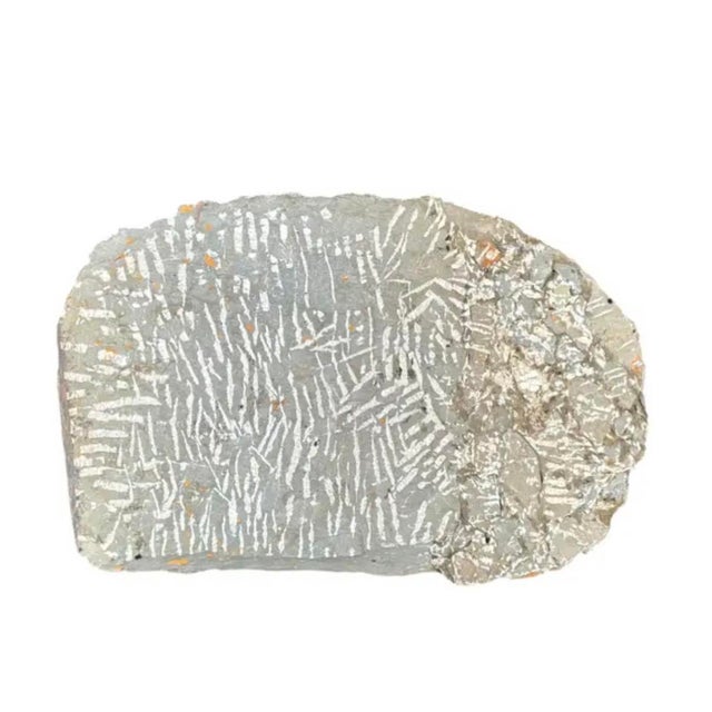 Stone Large Fossilized Trilobite Specimen in Stone Matrix For Sale - Image 7 of 9