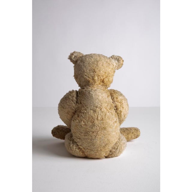 Vintage Teddy from Steiff, 1920s For Sale - Image 3 of 6