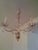 Mid-Century Modern Jl Lobmeyr Colored Crystal Chandelier For Sale - Image 3 of 11
