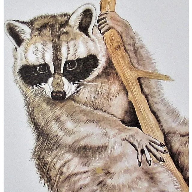 Realism Jacquie Marie Vaux, Racoon, Circa 1990 For Sale - Image 3 of 5