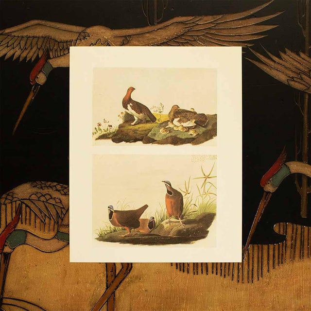 BlueHeaded Quail Doves After John James Audubon, 1966 Cottage Prints