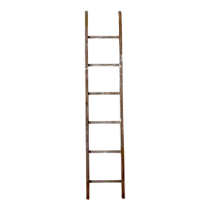 Antique Picking Ladder