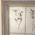 French Large 19th Century French Mounted Botanical Herbiers For Sale - Image 3 of 16