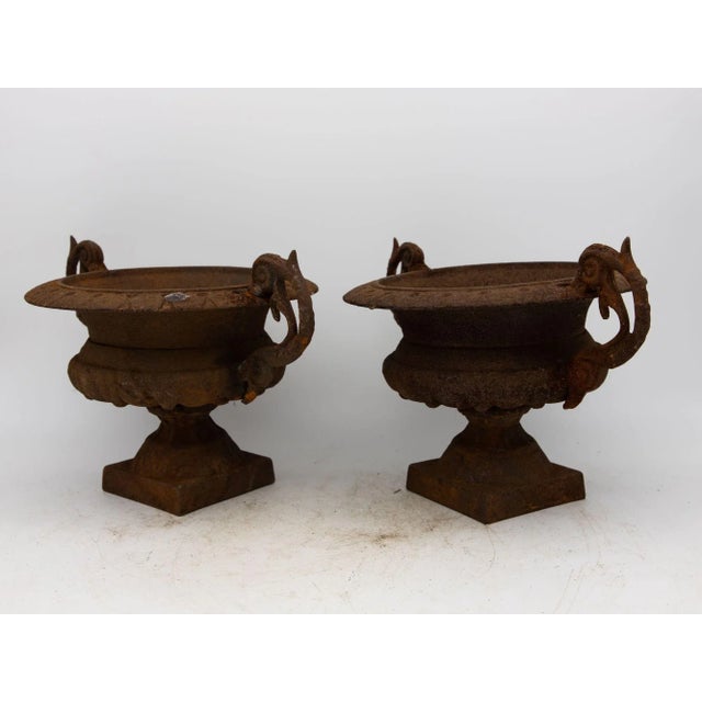 French Pair of French Cast Iron Urns, Late 19th Century For Sale - Image 3 of 8