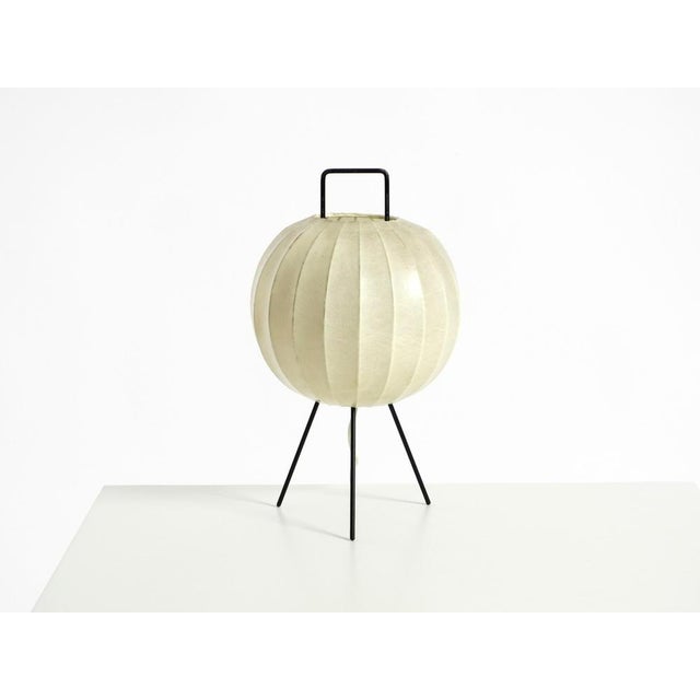 Beige Mid-Century Modern Tripod Cocoon Table Lamp, 1950s For Sale - Image 8 of 18