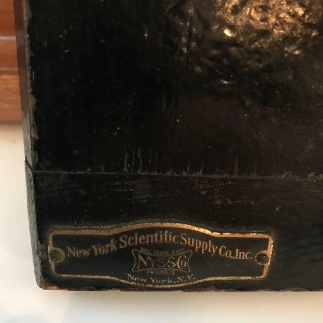Wood Early 20th Century Anatomical Plaque by New York Scientific Supply Co. For Sale - Image 7 of 7