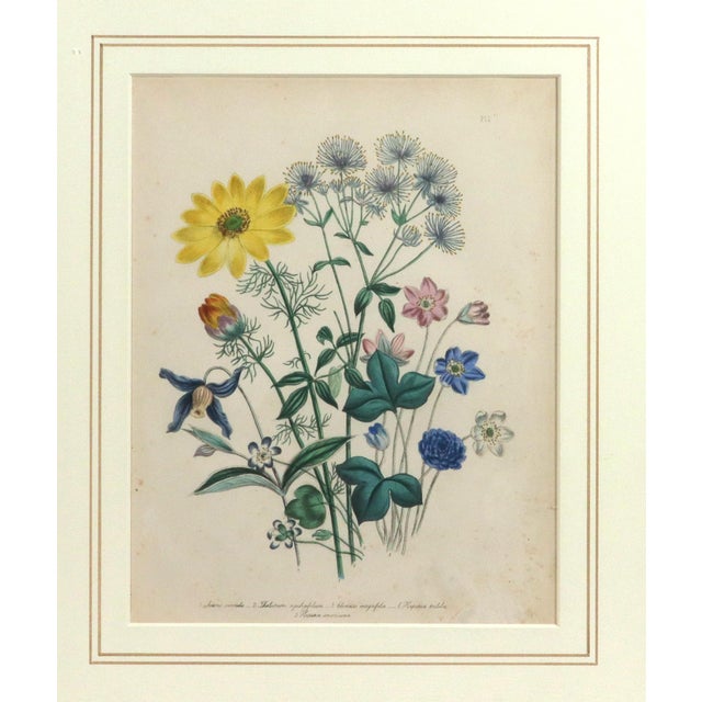 Mid 19th Century Jane Wells Loudon Botanical Prints Framed - a Pair For Sale In Philadelphia - Image 6 of 12