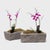 Chinese Stone Garden Trough, C. 1850 For Sale In Chicago - Image 6 of 6