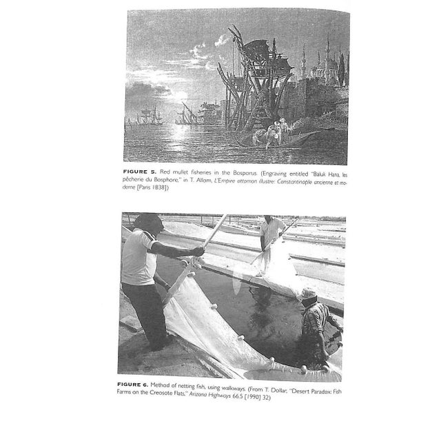 White "Piscinae: Artificial Fishponds in Roman Italy" 1997 Higginbotham, James For Sale - Image 8 of 12