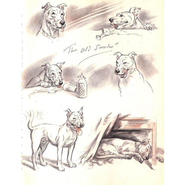 "Diana Thorne's Dogs: An Album of Drawings" 1944 Thorne, Diana For Sale - Image 4 of 12