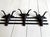 1970s Vintage Western Long Horn Bull Iron Wall Coat Rack For Sale - Image 5 of 6