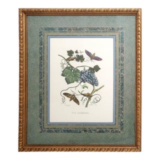 Large Italian Reproduction Print Signed For Sale