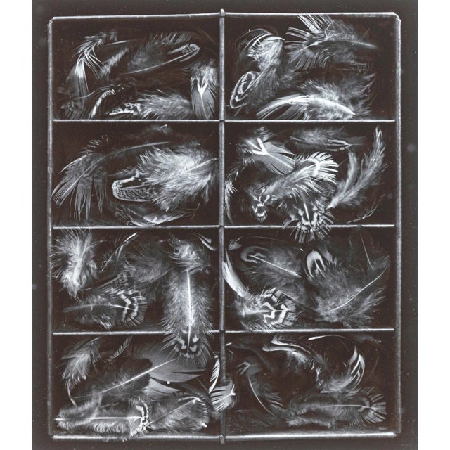 Olivia Parker Pheasant Feathers Signed Original Gelatin Silver Photograph 1976 For Sale - Image 4 of 7