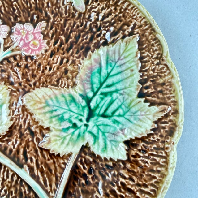 Brown English Majolica Rustic Leaves on Bark Plates, Set of Two For Sale - Image 8 of 16