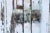 Primitive antique French painted confiture pantry. Entirely handmade of tongue & groove hardwood. The cabinet opens with...