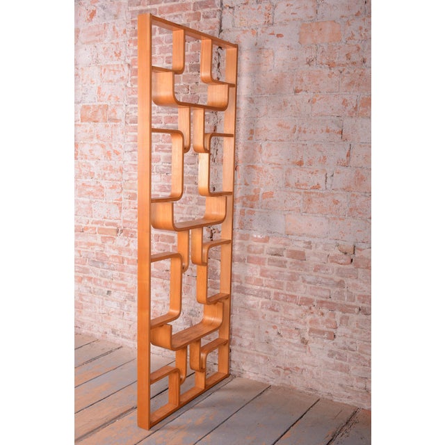 Mid-Century Room Divider by L. Volak for Drevopodnik Holesov, Czech, 1960s For Sale - Image 10 of 12