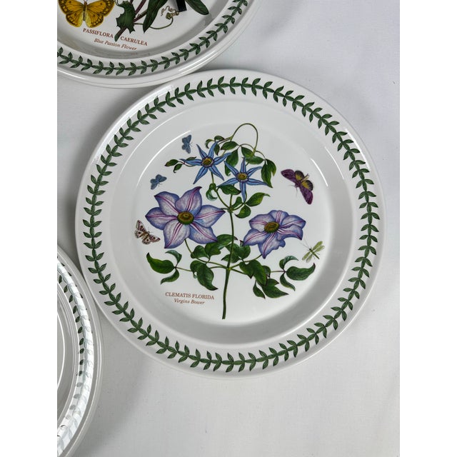 1972 Portmeirion Botanic Garden Dinner Plates- Set of 12 For Sale In Dallas - Image 6 of 12