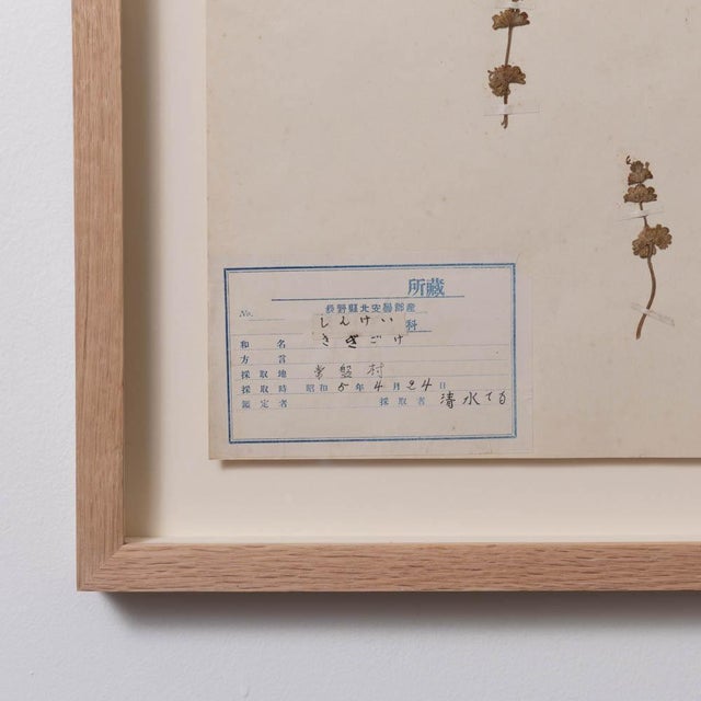 1930s Japanese Pressed Wildflower Art, 1931 For Sale - Image 5 of 8