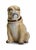 Seated Pug Tobacco Jar from Staffordshire Pottery, 1900 For Sale - Image 18 of 18