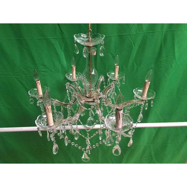 Crystal Chandelier, 1950s For Sale - Image 13 of 18