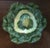 19th Century Antique 19th Century English Coalport Porcelain Cabbage Form Tureen Box, Cover and Under Plate For Sale - Image 5 of 13