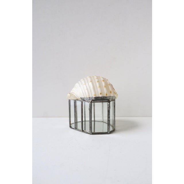 Seashell Jewelry Trinket Box For Sale - Image 11 of 12
