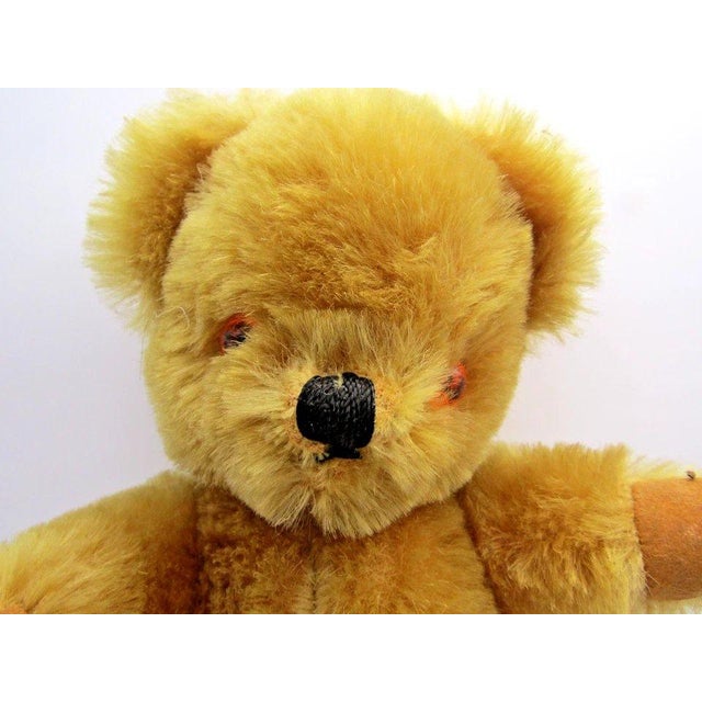 1960s UK Farnell Golden Mohair Bear with Working Squeak Box Excellent Condition Measures 7" wide, 4 1/4" deep and 10"...