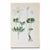 Green Set of 8 Antique Botanical Prints | Pink & Green Wildflower Studies For Sale - Image 8 of 10