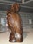 Mid 20th Century Balinese Macassar Ebony Art Deco Busts by I Wayan Suweda (Sumampan, Bali) - a Pair For Sale - Image 10 of 12