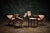 Mid-Century Modern Set of Four Straight Back Chairs by Charlotte Perriand, 1960s For Sale - Image 3 of 7