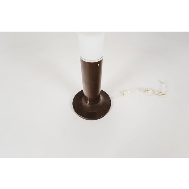 Space Age Floor Lamp in Glass and Metal from Temde Leuchten, Switzerland, 1960s For Sale - Image 13 of 14