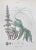Lithograph hand watercolored. Belongs to the Series "Atlante di Botanica popolare ossia Illustrazione di Piante Notevoli...