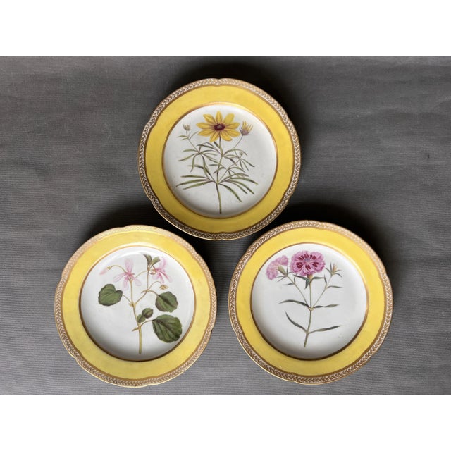 Porcelain Plates with Hand-Painted Botanical Theme from Royal Crown Derby, 18th Century, Set of 3 For Sale - Image 11 of 11