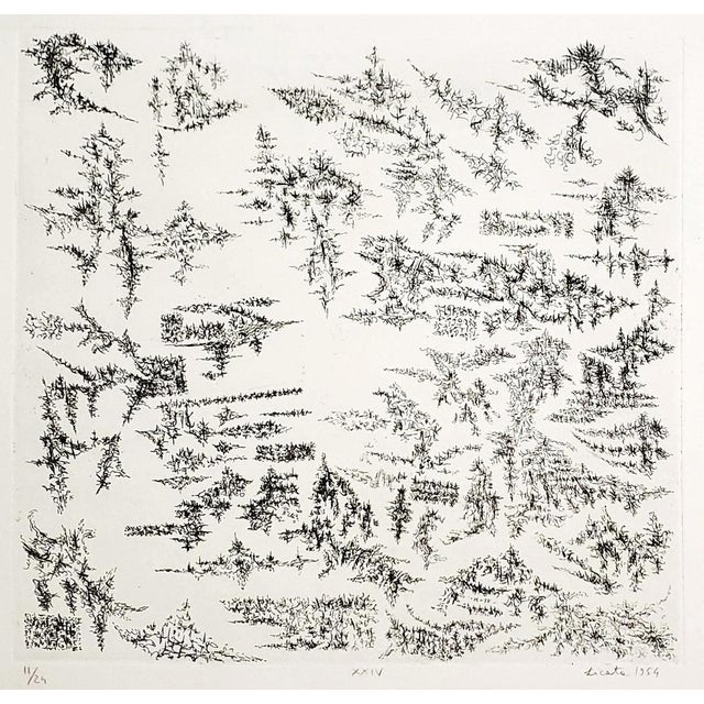 Riccardo Licata, XXIV, Etching, 1954 For Sale - Image 7 of 7