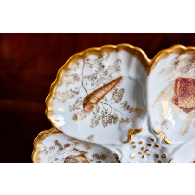 Antique Limoges T v Oyster Plate, Jones McDuffee & Stratton, Hand-Painted Shells, C. 1892-1907 For Sale - Image 9 of 10