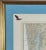 Vintage Ruth James Hand-Painted Pelican and Naples, Florida, Nautical Map Art For Sale In Portland, ME - Image 6 of 11