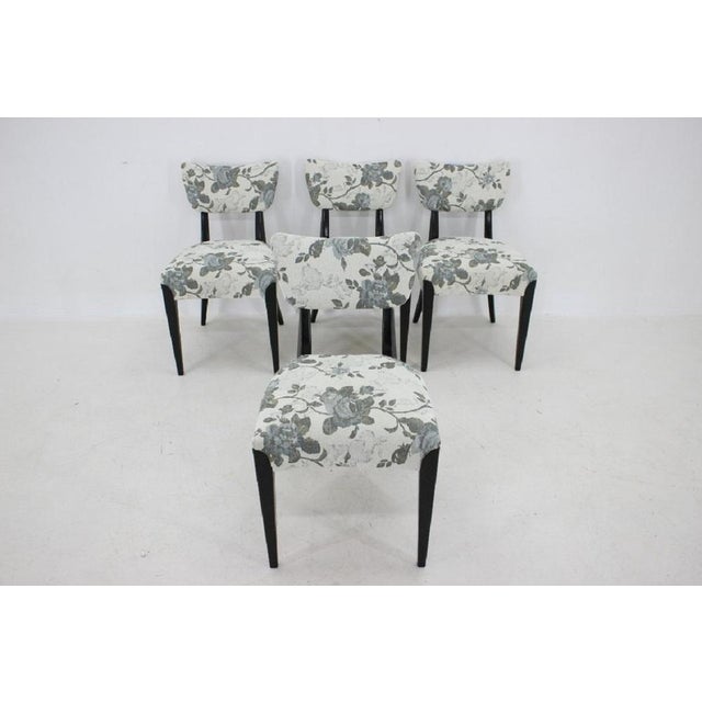 1950s Dining Chairs by Jindrich Halabala for Hala, Czechoslovakia, 1950s, Set of 4 For Sale - Image 5 of 18