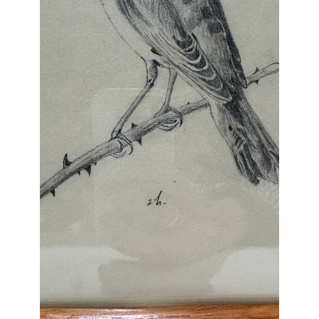 Farmhouse Vintage Original Pencil Drawing Songbird on Branch Signed Art Arched Wood Frame For Sale - Image 3 of 6