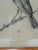 Farmhouse Vintage Original Pencil Drawing Songbird on Branch Signed Art Arched Wood Frame For Sale - Image 3 of 6