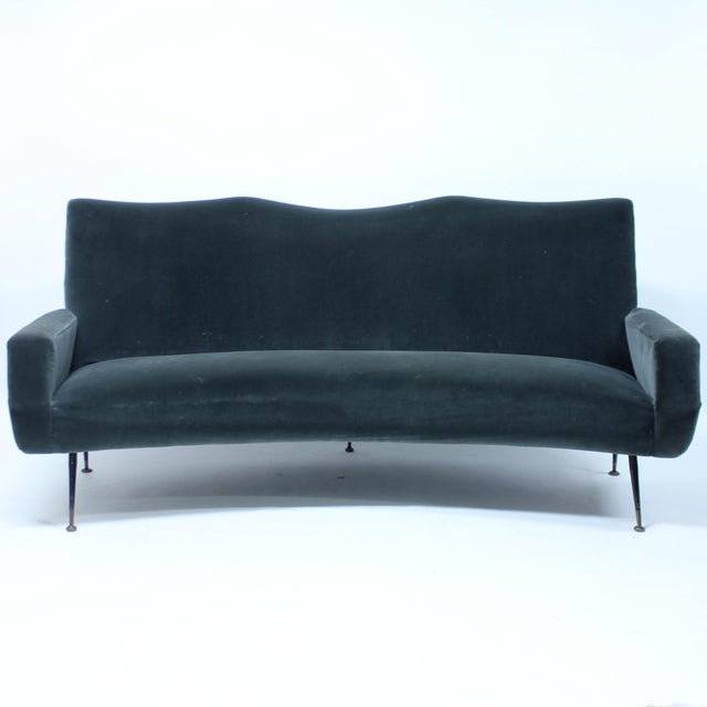 1950s Mid-Century Italian Curved Velvet Sofa, 1950s For Sale - Image 5 of 14