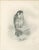 Lilian M. Medland, Peregrine Falcon, 1908, Monochrome Ornithological Plate For Sale - Image 9 of 9