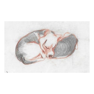 1970s Sleeping Dog Drawing For Sale