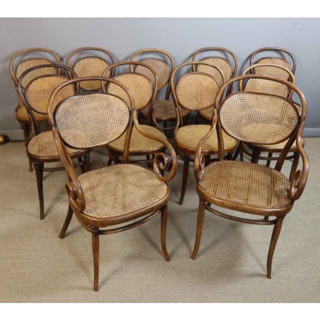 Chairs and Armchairs by Michael Thonet for Thonet, 1890s, Set of 11 For Sale - Image 10 of 10