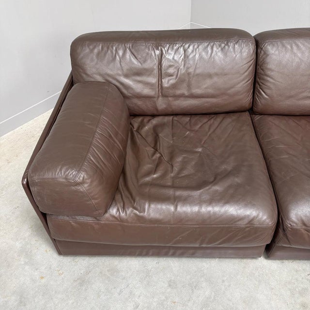 Vintage DS76 Sofa from de Sede, 1970s For Sale - Image 9 of 16