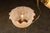1910s Early 20th Century Brass Pendant With Embossed Glass Shades For Sale - Image 5 of 10