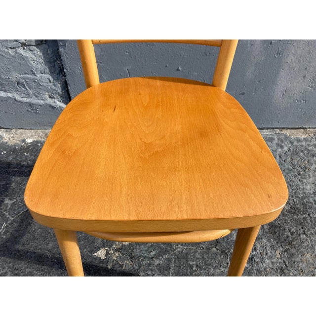 1970s 1970s Bentwood Dining Chairs - Set of 9 For Sale - Image 5 of 13